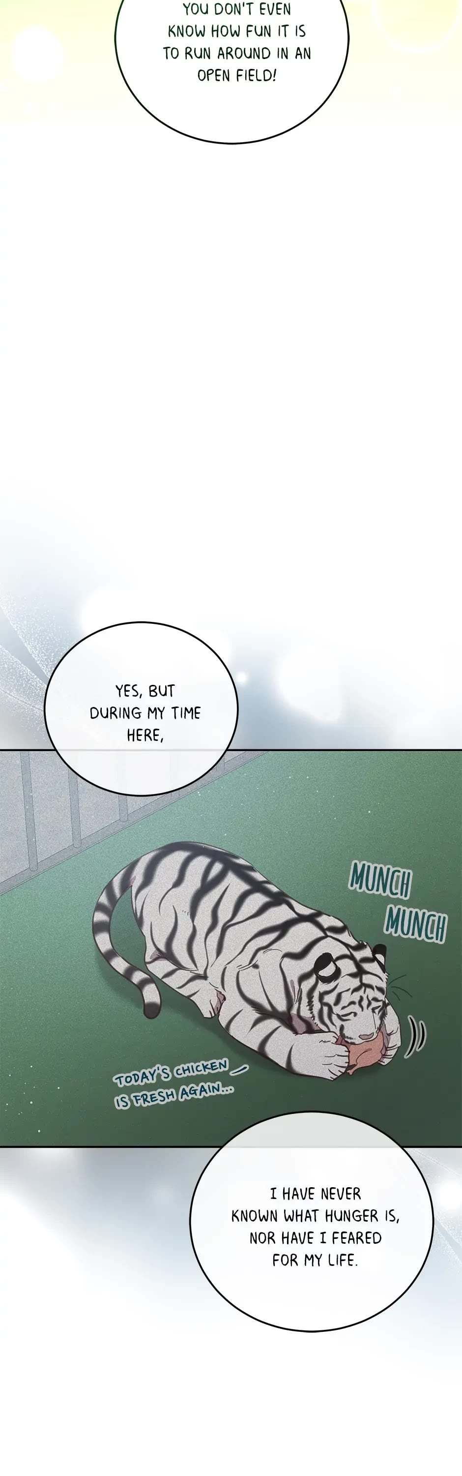 The Legendary Beasts Animal Hospital Chapter 57 page 37 - Chapter 57: The Cost of Freedom