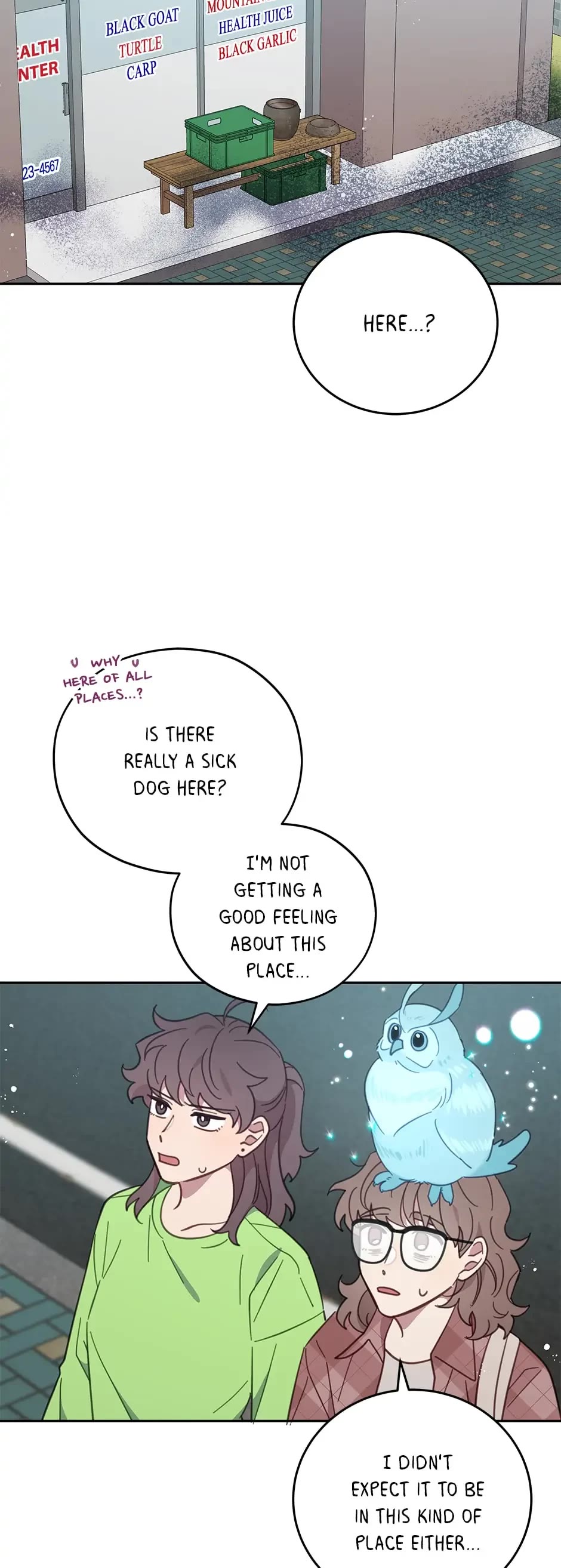 The Legendary Beasts Animal Hospital Chapter 64 page 20 - Chapter 64: A Ball of Fur