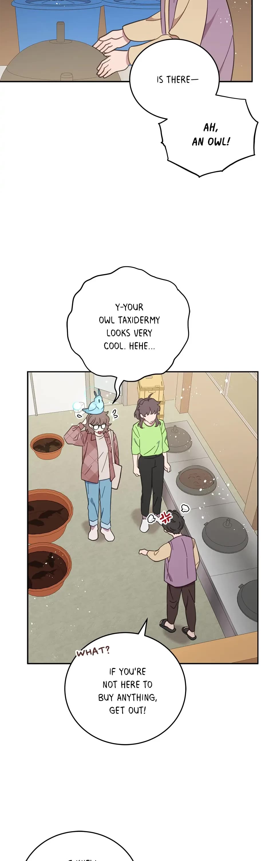 The Legendary Beasts Animal Hospital Chapter 64 page 22 - Chapter 64: A Ball of Fur