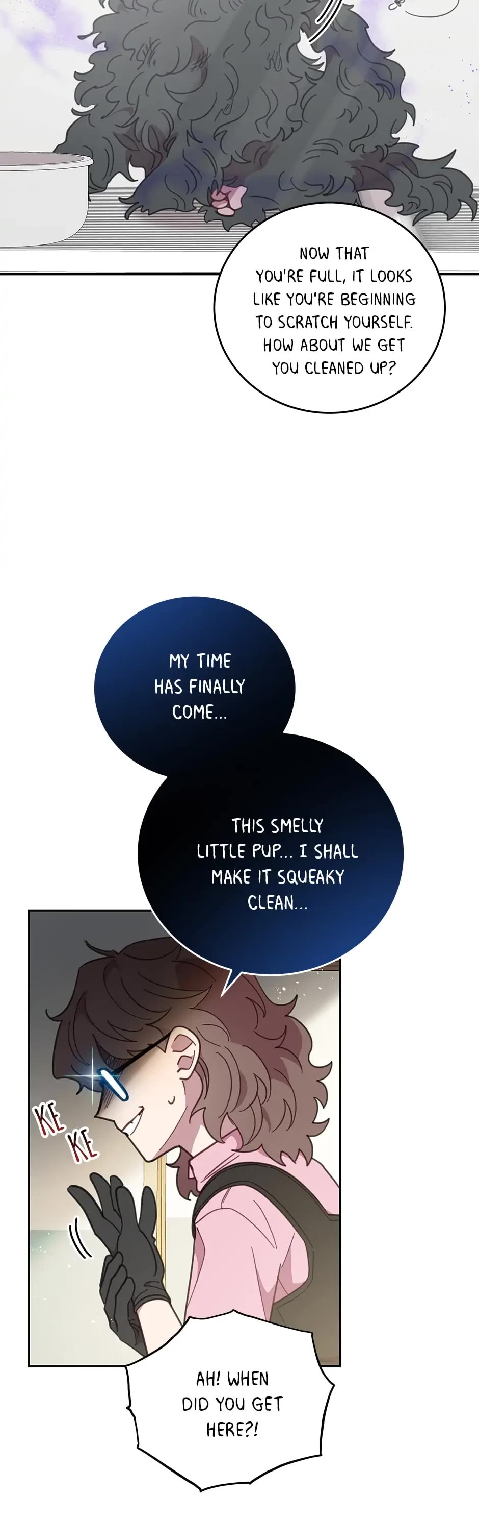 The Legendary Beasts Animal Hospital Chapter 64 page 35 - Chapter 64: A Ball of Fur