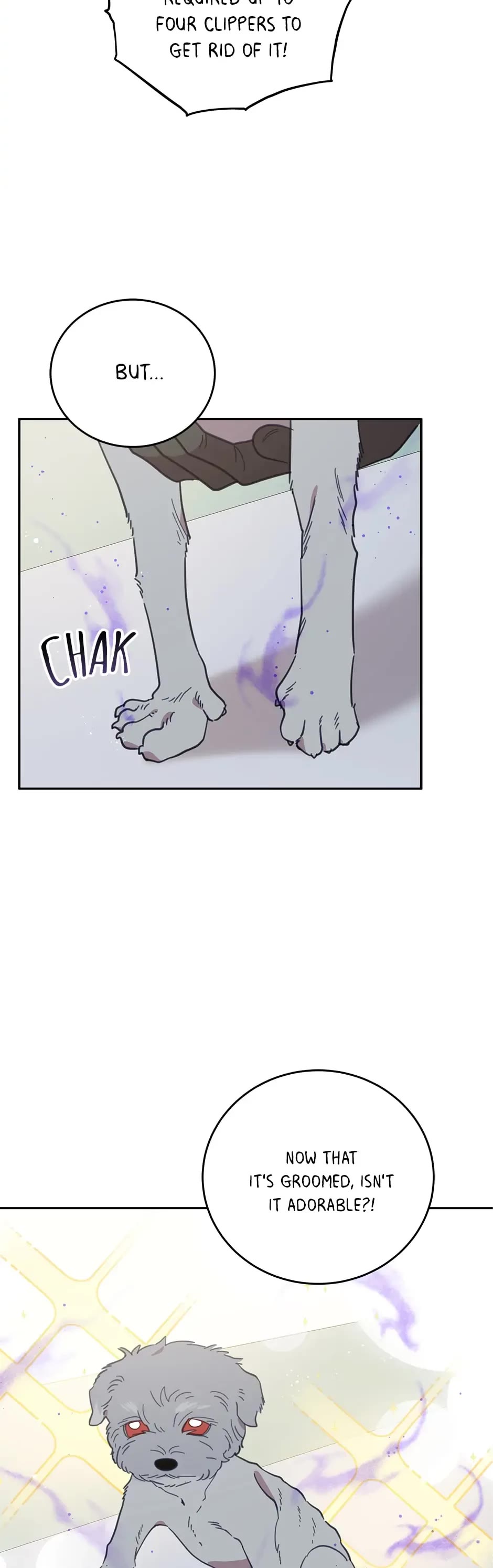 The Legendary Beasts Animal Hospital Chapter 64 page 39 - Chapter 64: A Ball of Fur