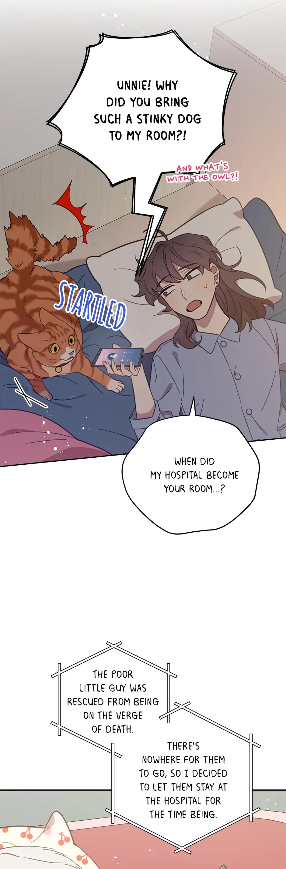 The Legendary Beasts Animal Hospital Chapter 65 page 14 - Chapter 65: Meotteol