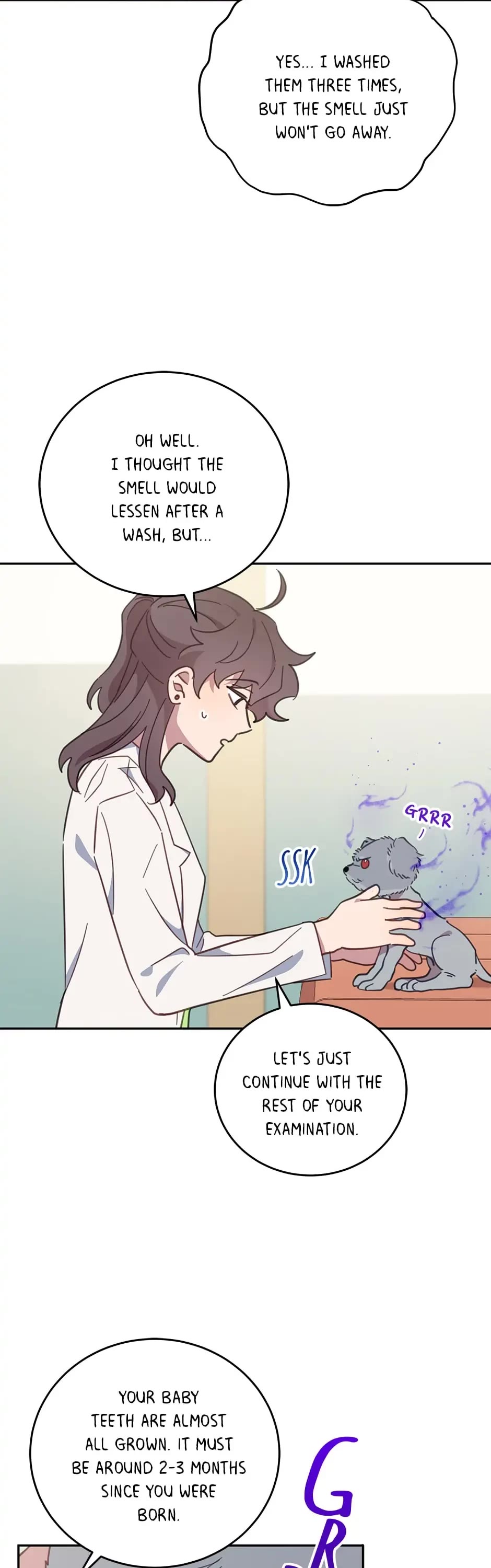 The Legendary Beasts Animal Hospital Chapter 65 page 3 - Chapter 65: Meotteol