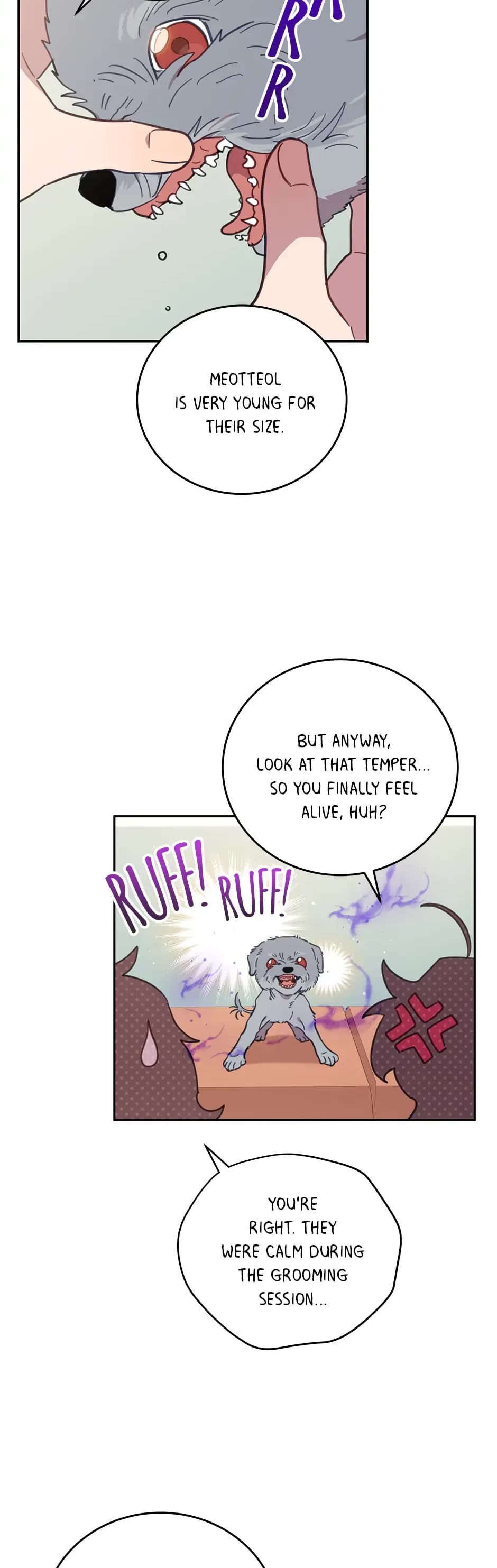 The Legendary Beasts Animal Hospital Chapter 65 page 4 - Chapter 65: Meotteol