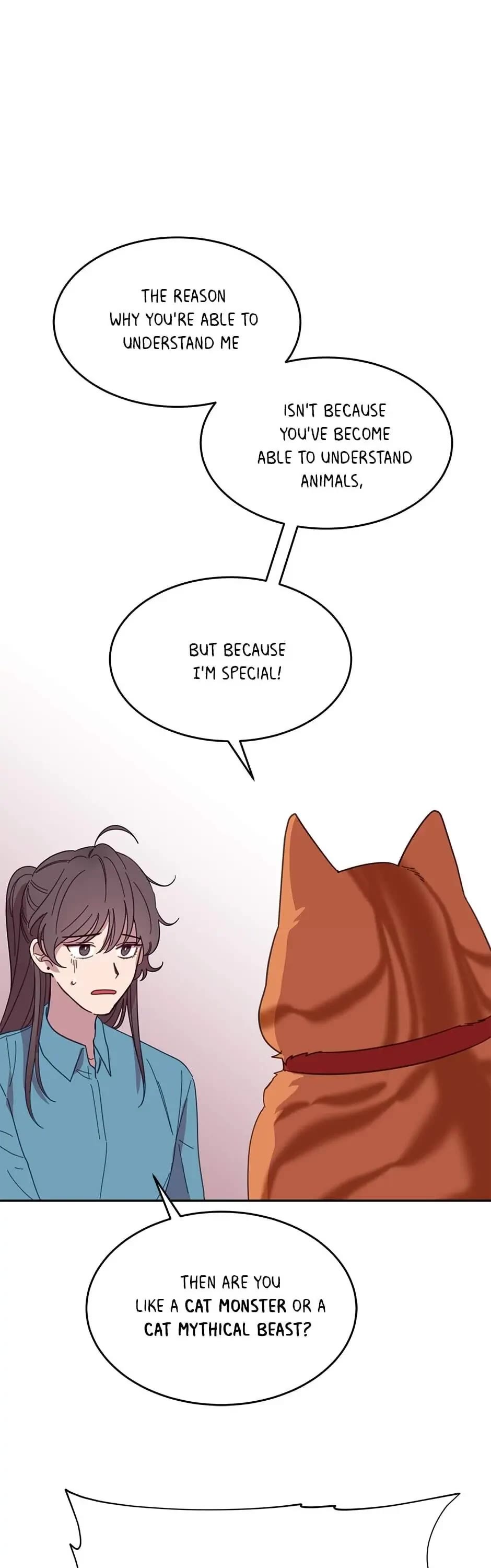 The Legendary Beasts Animal Hospital Chapter 7 page 11 - Chapter 7: The Rude Cat