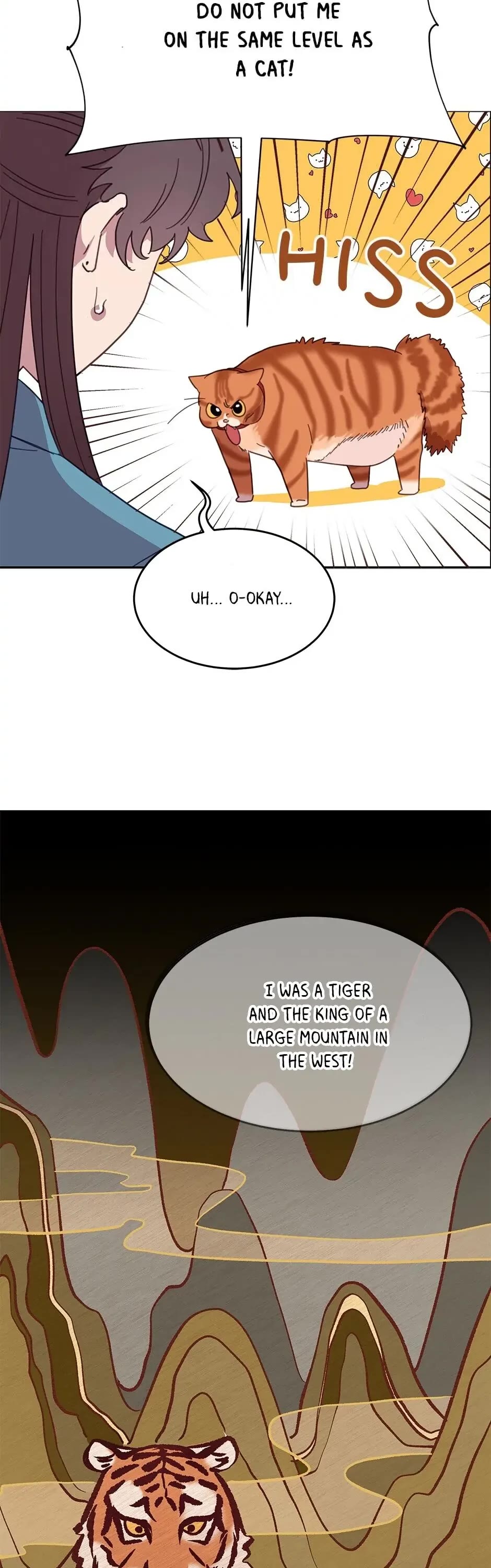 The Legendary Beasts Animal Hospital Chapter 7 page 12 - Chapter 7: The Rude Cat