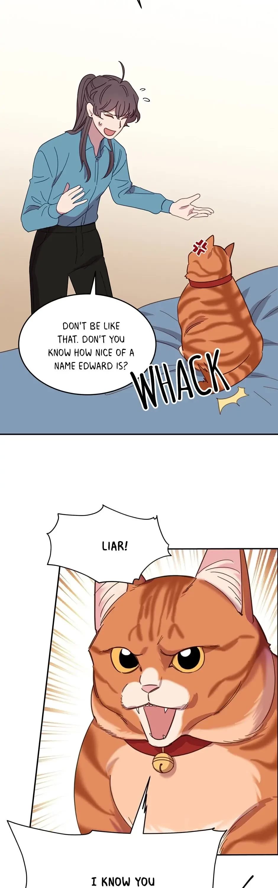 The Legendary Beasts Animal Hospital Chapter 7 page 23 - Chapter 7: The Rude Cat