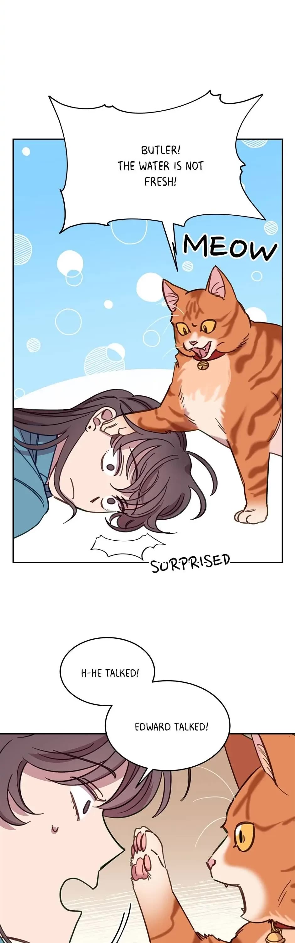 The Legendary Beasts Animal Hospital Chapter 7 page 3 - Chapter 7: The Rude Cat