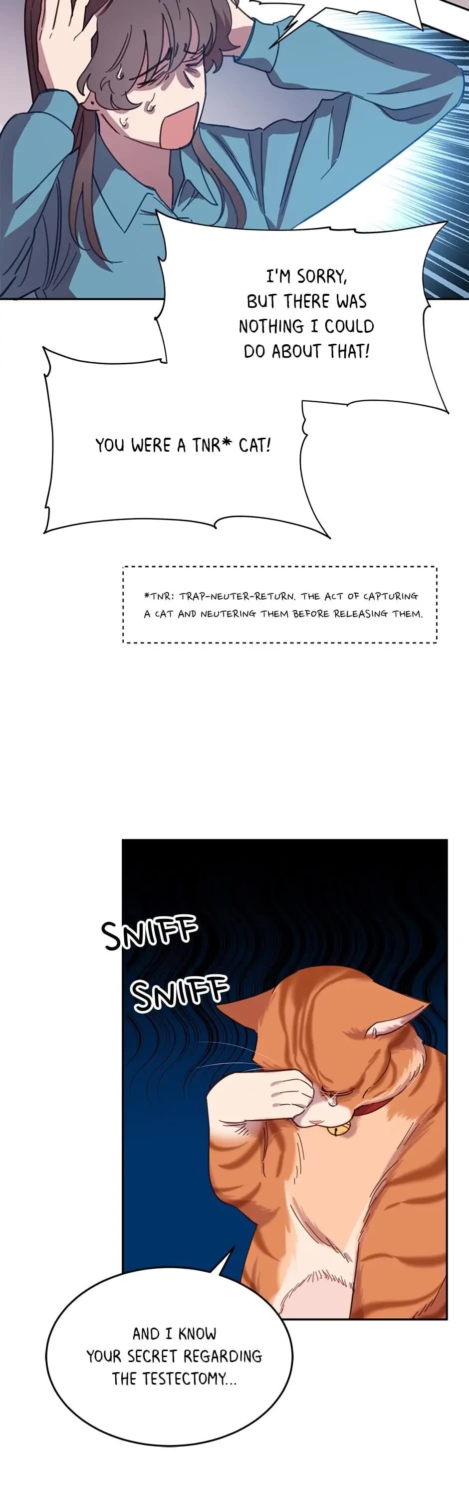 The Legendary Beasts Animal Hospital Chapter 7 page 32 - Chapter 7: The Rude Cat