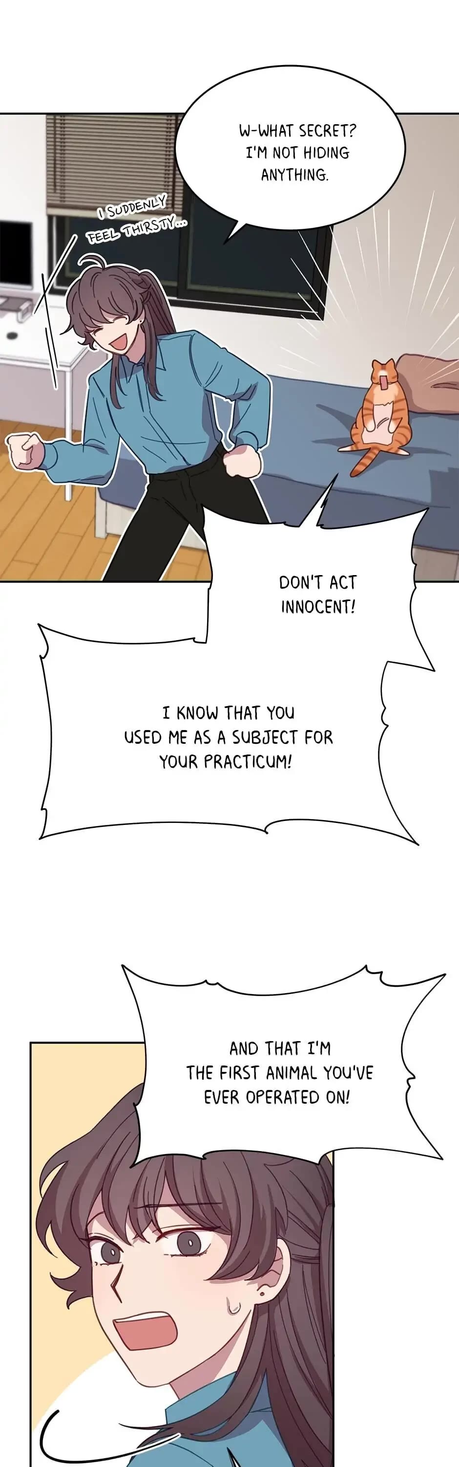 The Legendary Beasts Animal Hospital Chapter 7 page 33 - Chapter 7: The Rude Cat