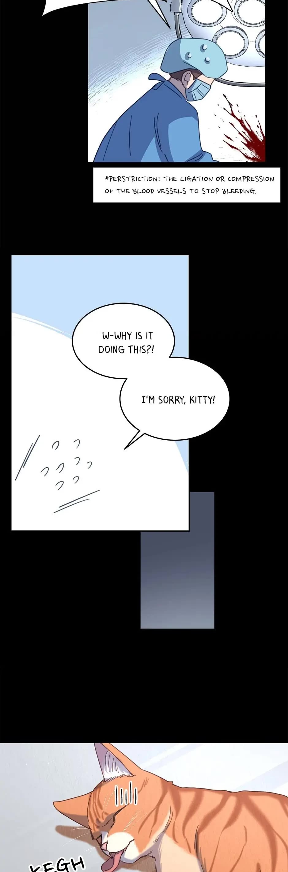 The Legendary Beasts Animal Hospital Chapter 7 page 35 - Chapter 7: The Rude Cat