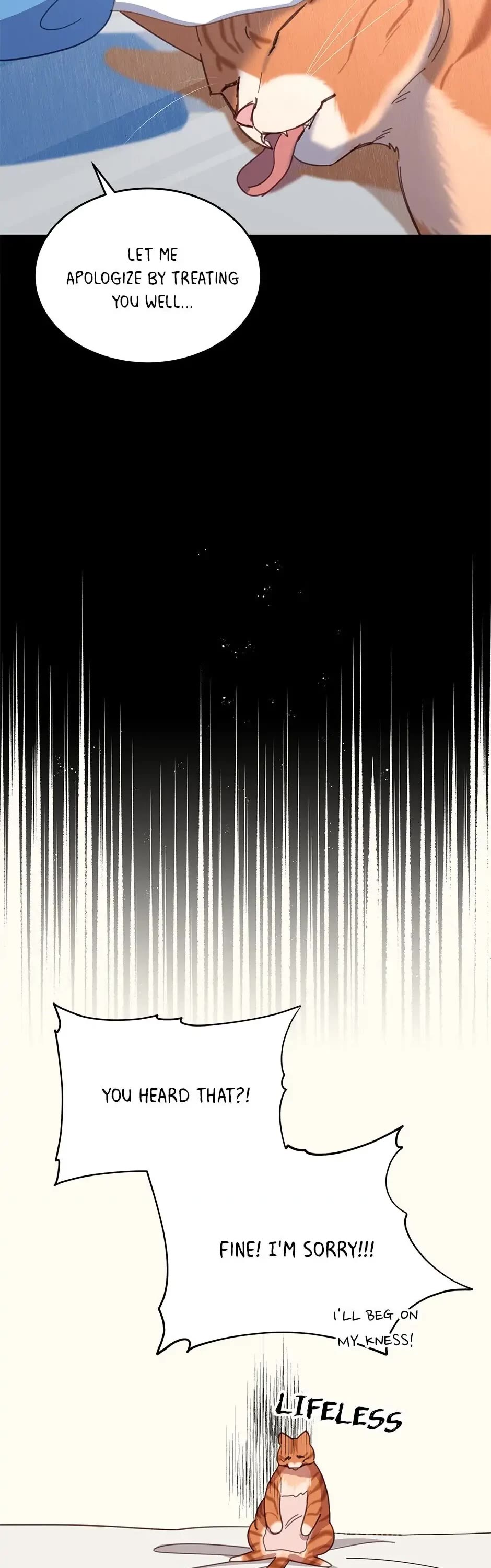 The Legendary Beasts Animal Hospital Chapter 7 page 37 - Chapter 7: The Rude Cat