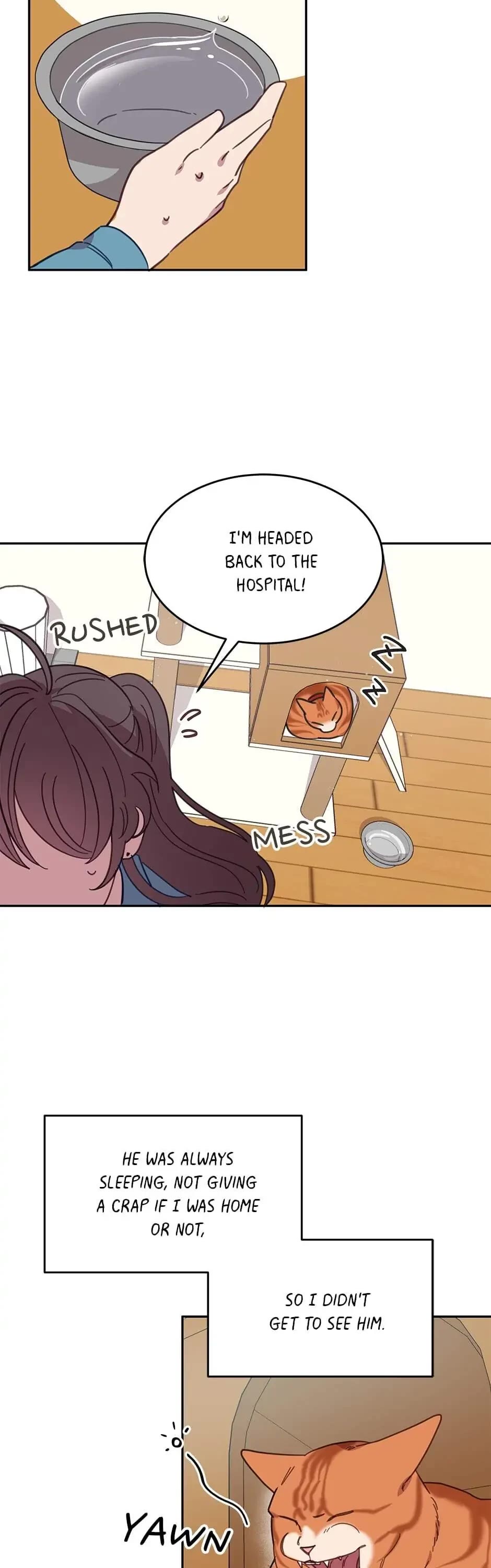 The Legendary Beasts Animal Hospital Chapter 7 page 7 - Chapter 7: The Rude Cat