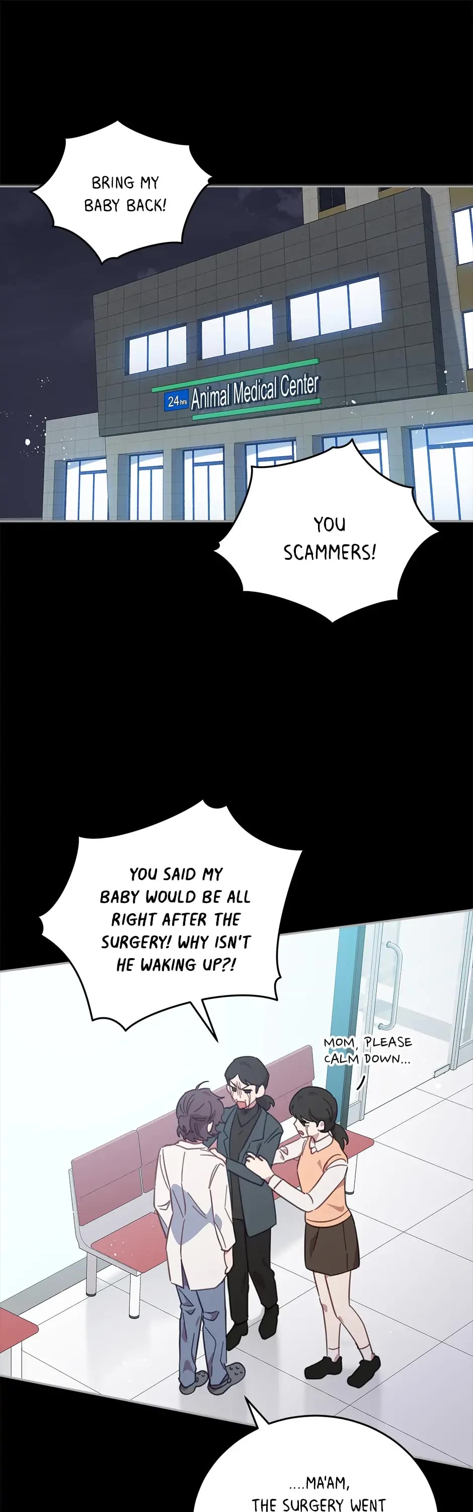 The Legendary Beasts Animal Hospital Chapter 72 page 1 - Chapter 72: Last Resorts