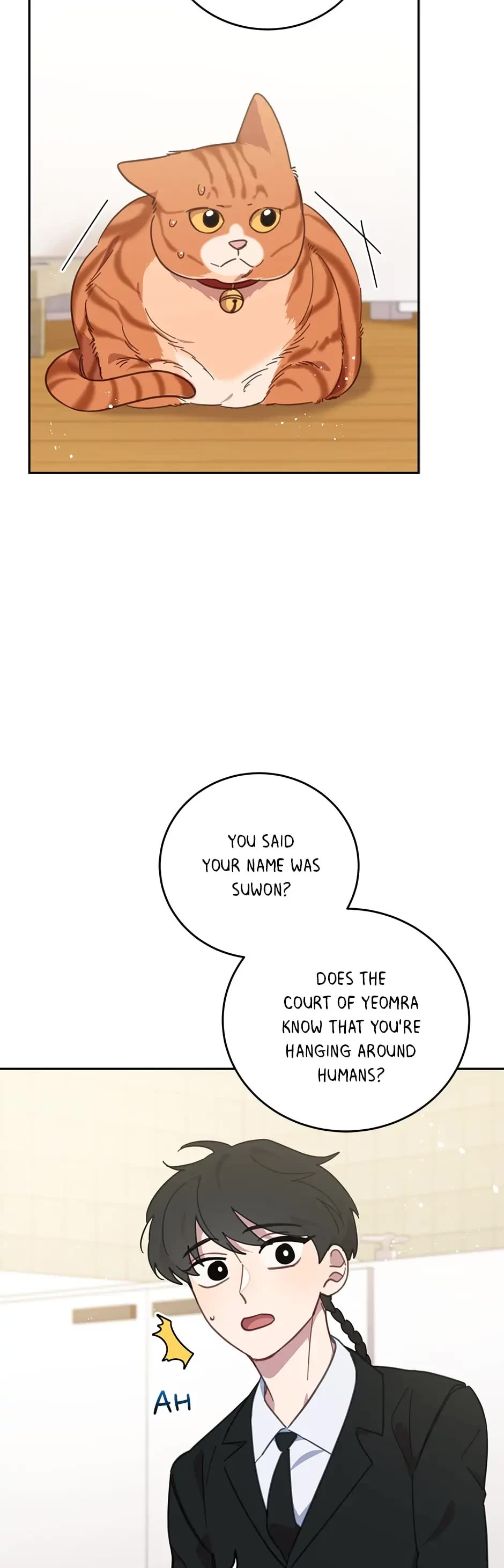 The Legendary Beasts Animal Hospital Chapter 74 page 5 - Chapter 74: A Stranger Warning