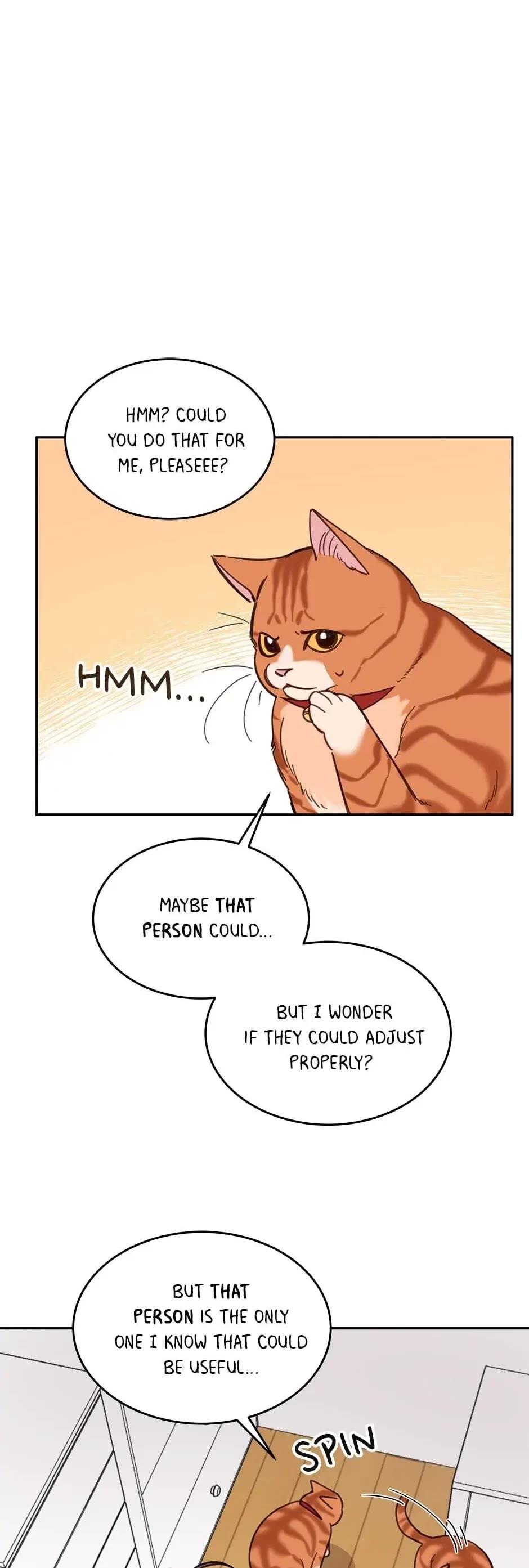 The Legendary Beasts Animal Hospital Chapter 8 page 24 - Chapter 8: A New Candidate Has Entered The Ring!