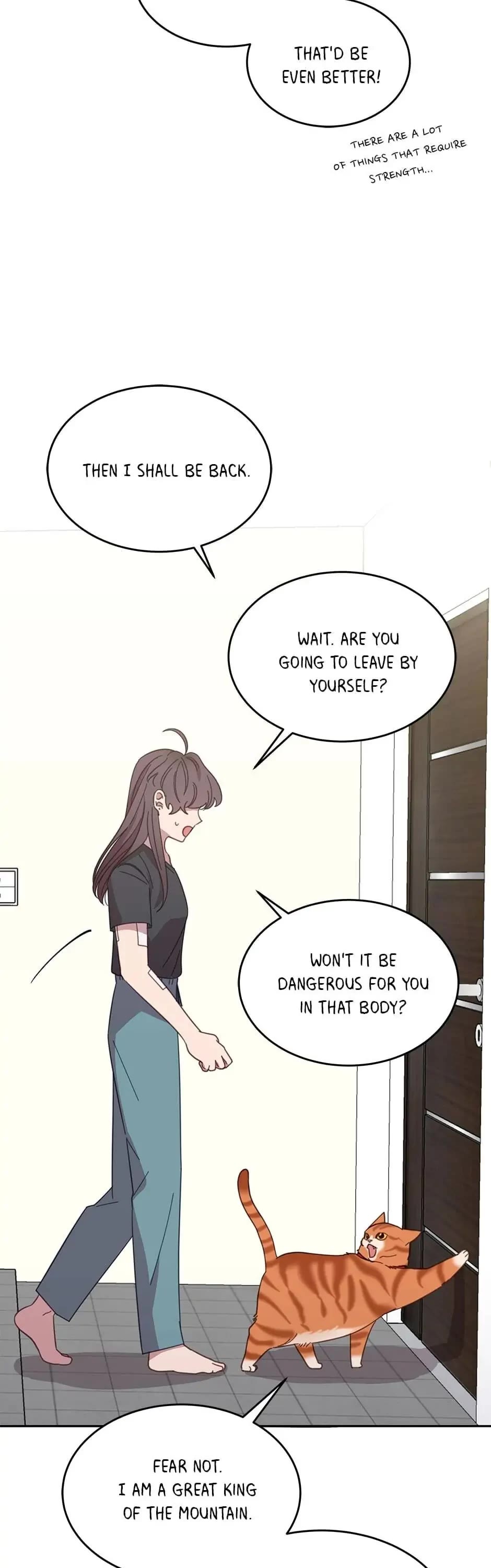 The Legendary Beasts Animal Hospital Chapter 8 page 26 - Chapter 8: A New Candidate Has Entered The Ring!