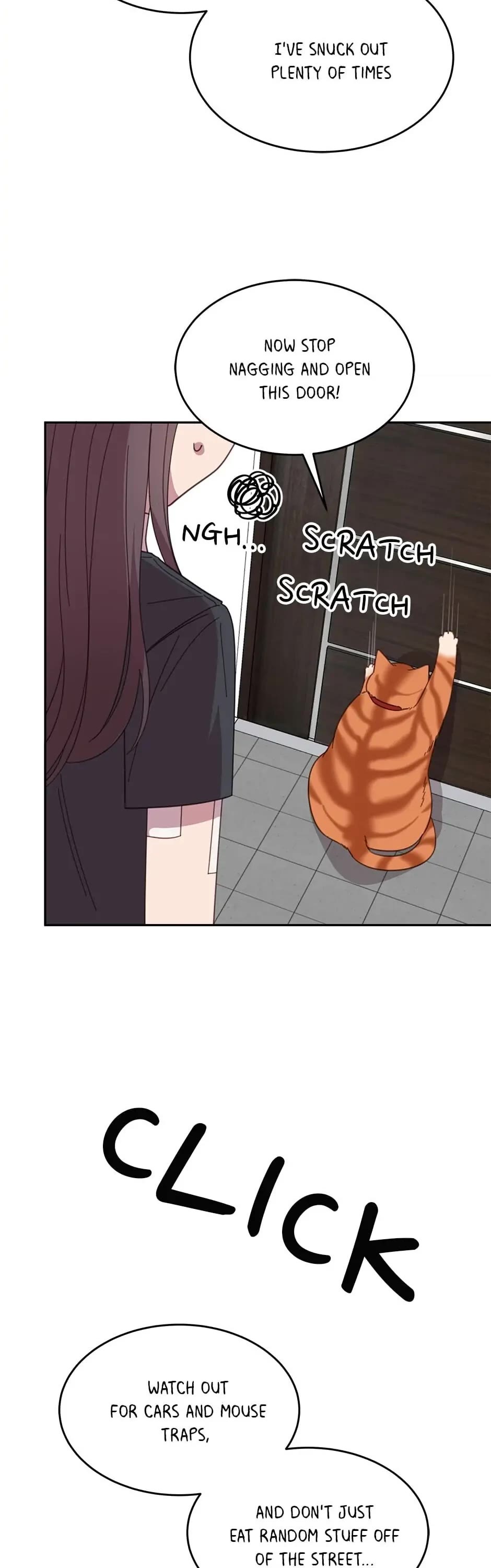 The Legendary Beasts Animal Hospital Chapter 8 page 27 - Chapter 8: A New Candidate Has Entered The Ring!