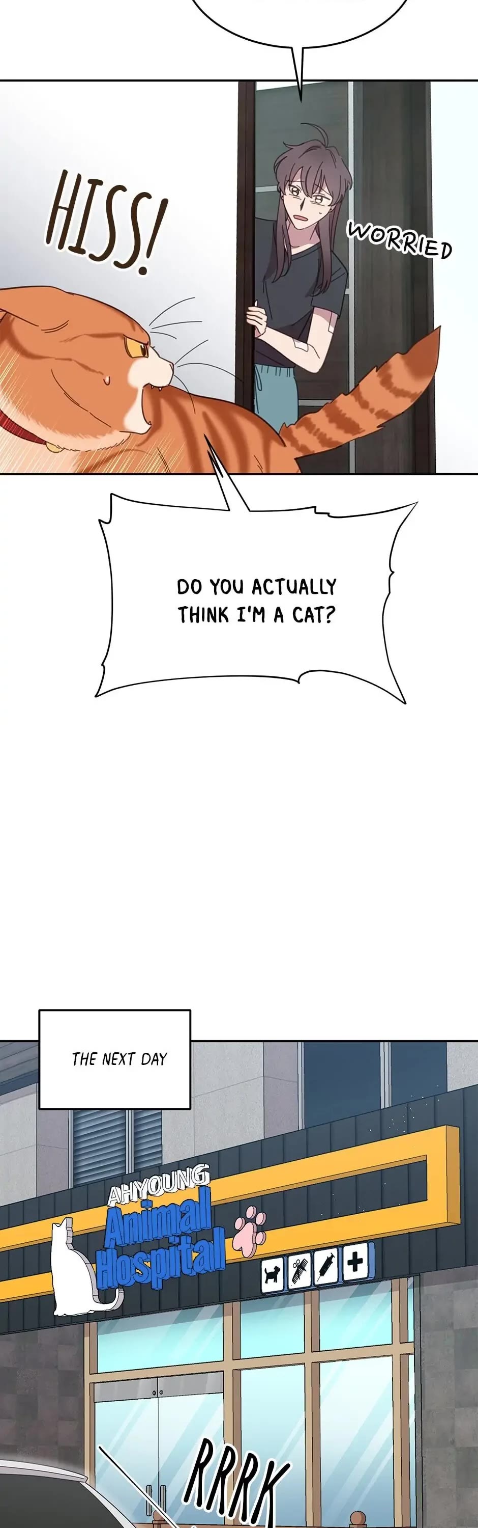 The Legendary Beasts Animal Hospital Chapter 8 page 28 - Chapter 8: A New Candidate Has Entered The Ring!