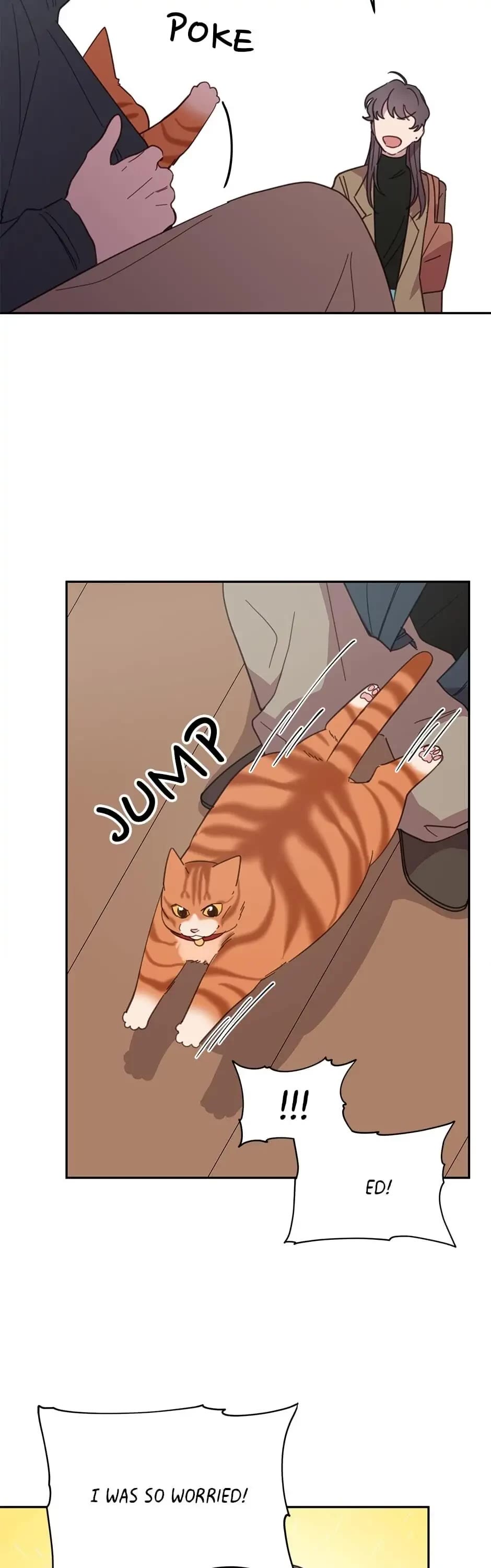 The Legendary Beasts Animal Hospital Chapter 8 page 31 - Chapter 8: A New Candidate Has Entered The Ring!