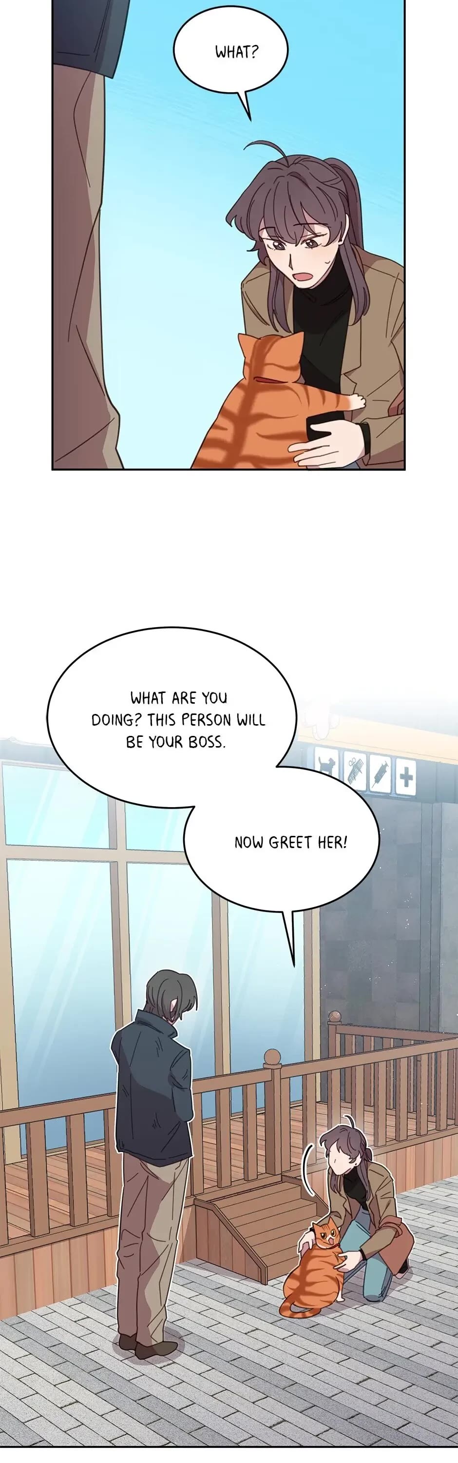 The Legendary Beasts Animal Hospital Chapter 8 page 33 - Chapter 8: A New Candidate Has Entered The Ring!