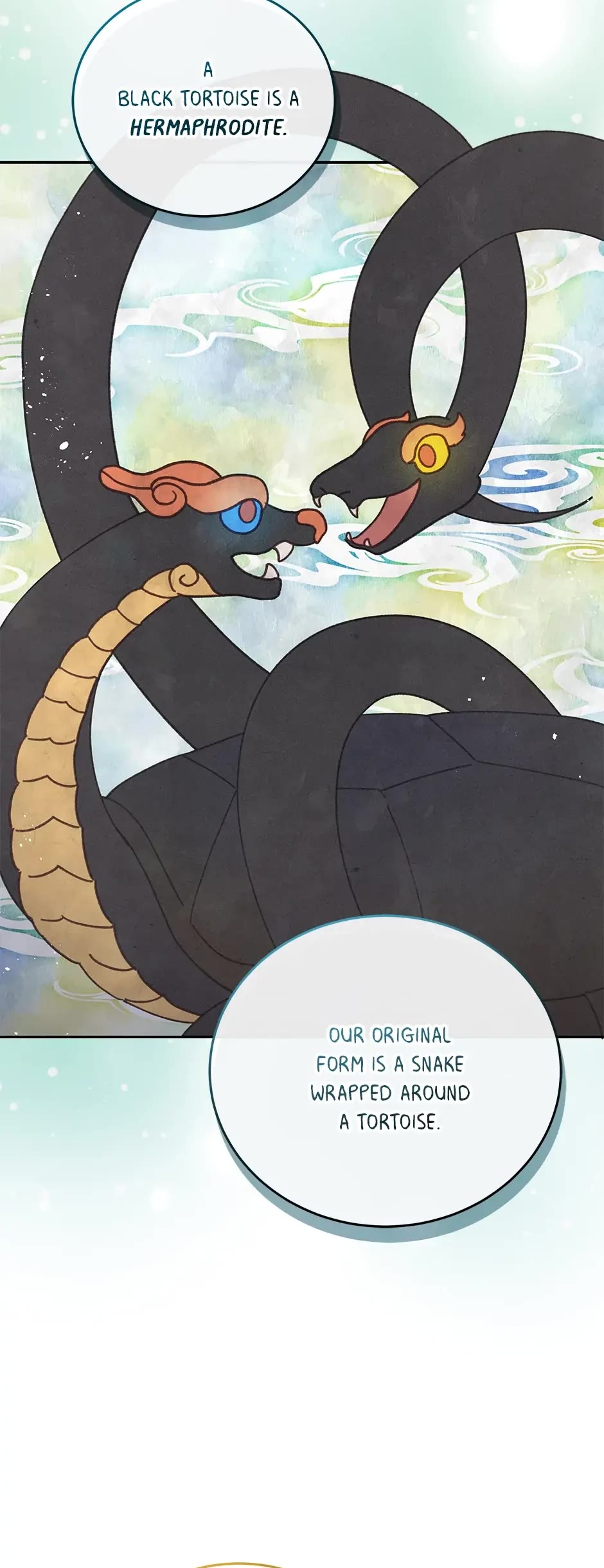 The Legendary Beasts Animal Hospital Chapter 88 page 24 - Chapter 88: Snake and Tortoise