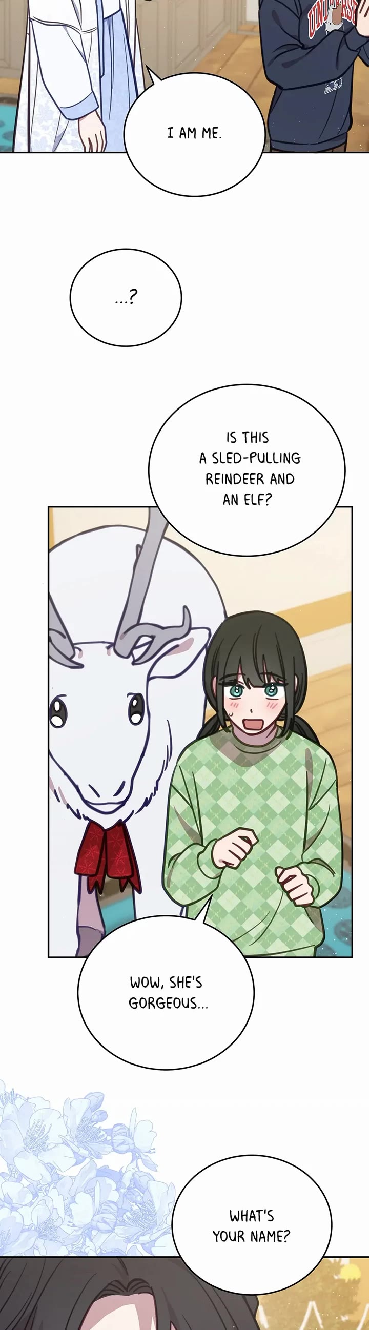The Legendary Beasts Animal Hospital Chapter 94 page 24 - Chapter 94: Christmas