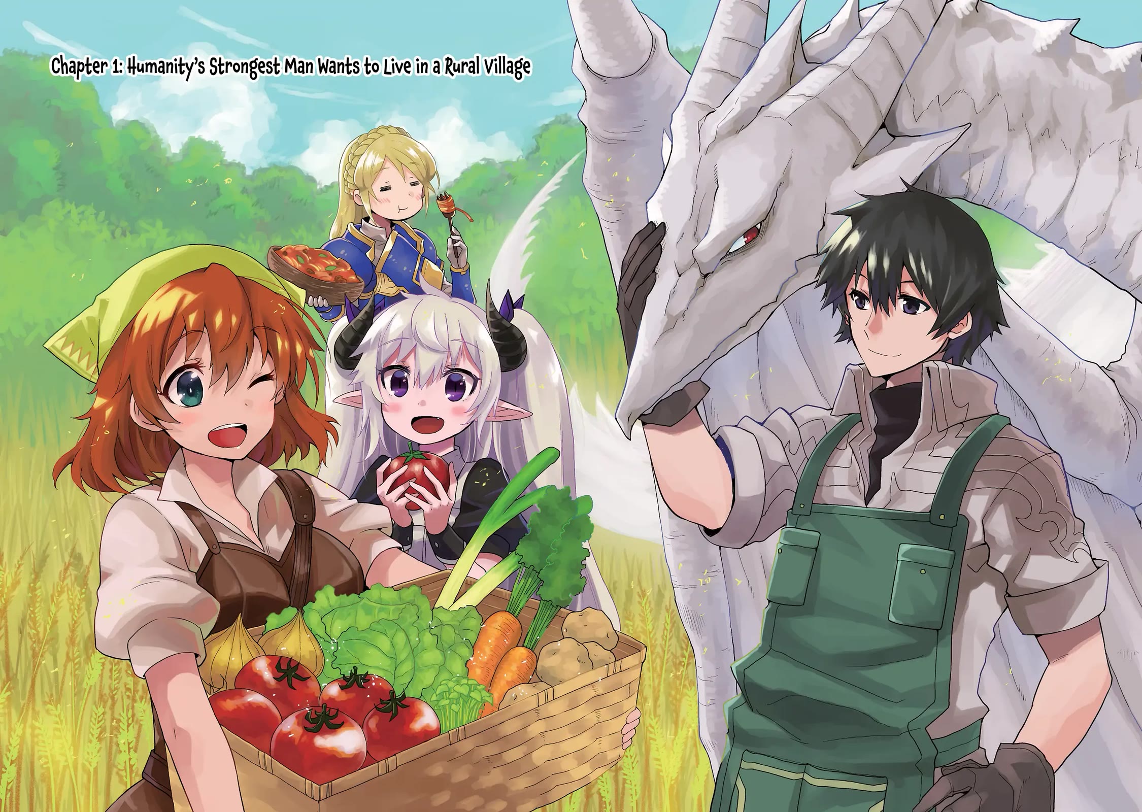The Legendary Dragon-Armored Knight Wants to Live a Normal Life in the Countryside Chapter 1 page 2 - Chapter 1: Humanity's Strongest Man Wants to Live in a Rural Village