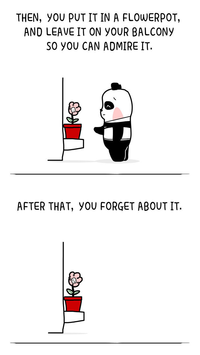 The Life of the Three Bears Chapter 34 page 6 - Chapter 34