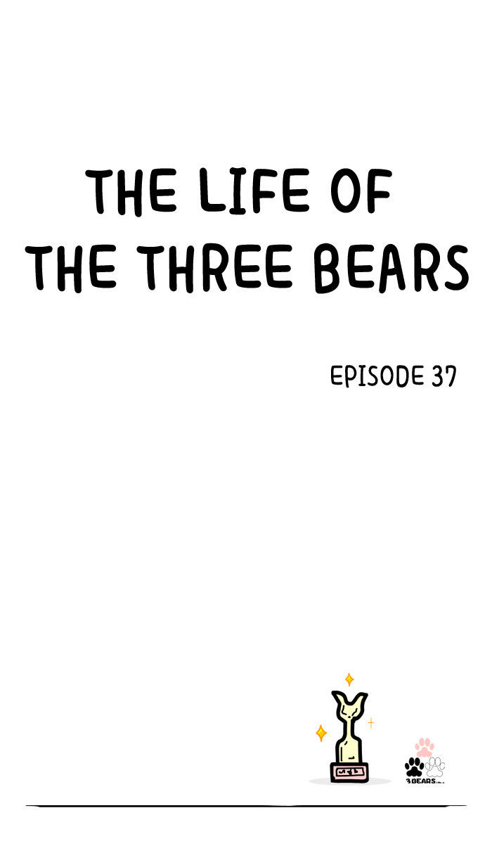 The Life of the Three Bears Chapter 37 page 1 - Chapter 37