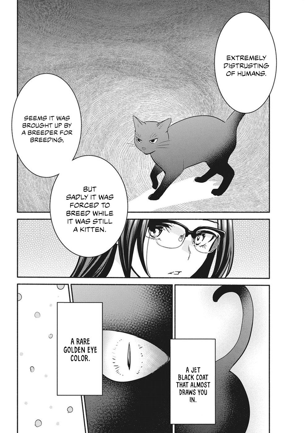 The Life of the Witch Who Remains Single for About 300 Years! Chapter 18 page 13 - Chapter 18
