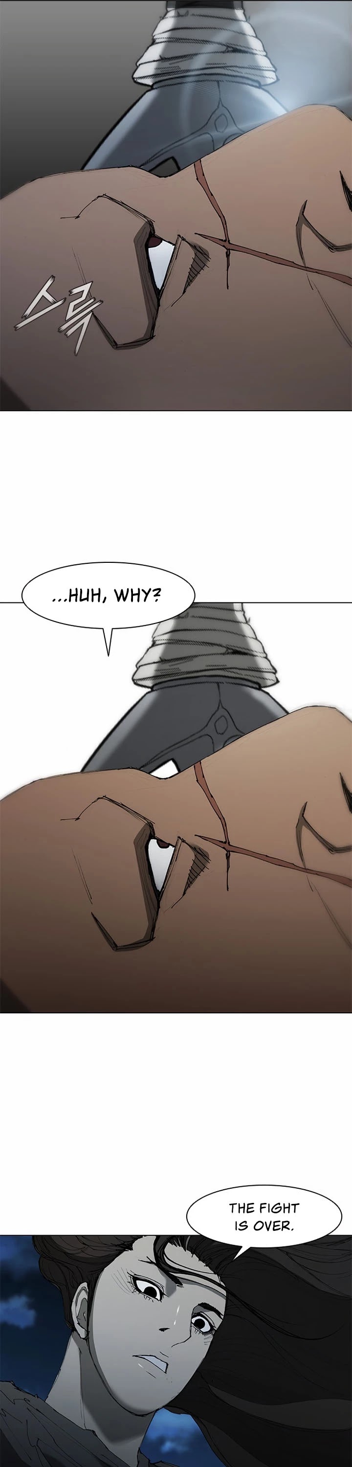 The Long Way of the Warrior Chapter 67 page 29 - Chapter 67