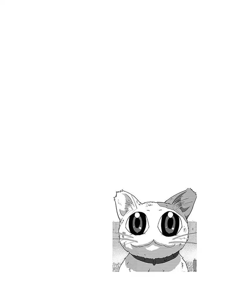 The Magical Cat Ghee Chapter 2 page 48 - Chapter 2: Vol.1 STORY 2: THE CRAZY MAGICIAN