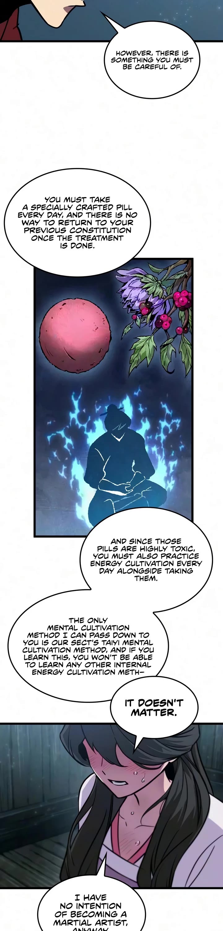 The Martial Genius Who Remembers Everything Chapter 15 page 13 - Chapter 15