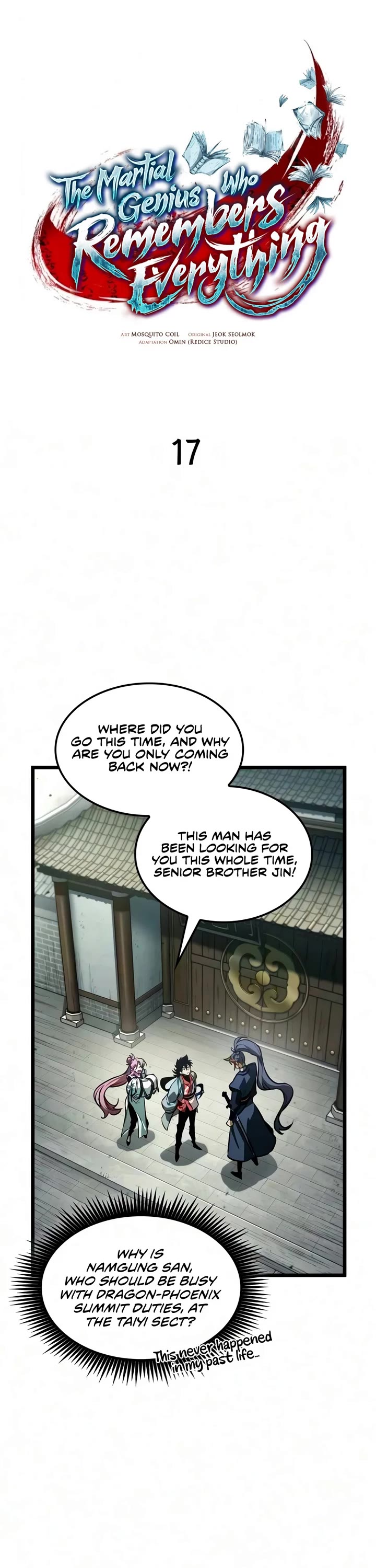 The Martial Genius Who Remembers Everything Chapter 17 page 13 - Chapter 17