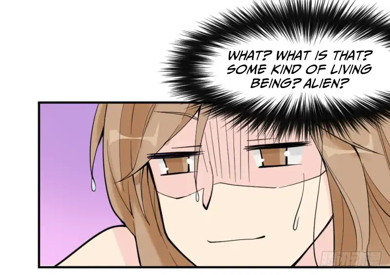 The Matchmaker Forbids Me From Dating Chapter 1 page 157 - Chapter 1