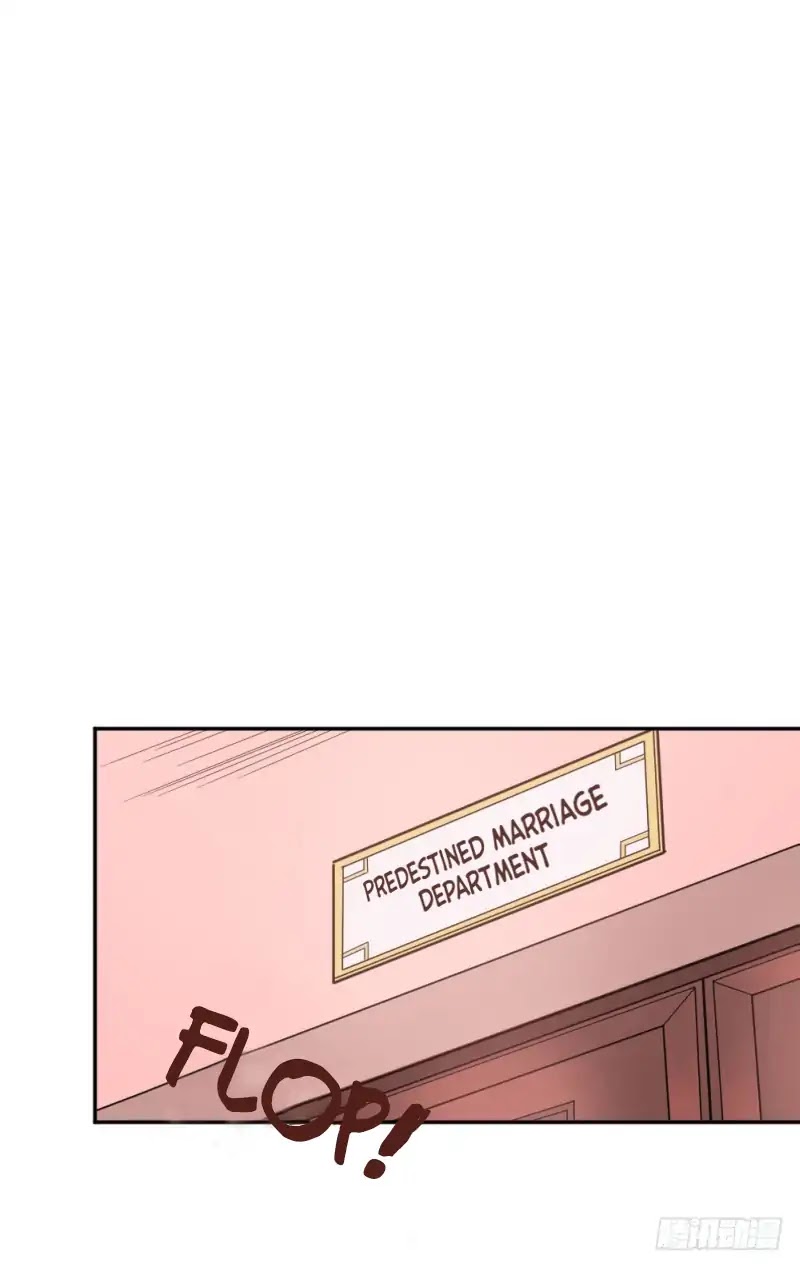 The Matchmaker Forbids Me From Dating Chapter 1 page 49 - Chapter 1