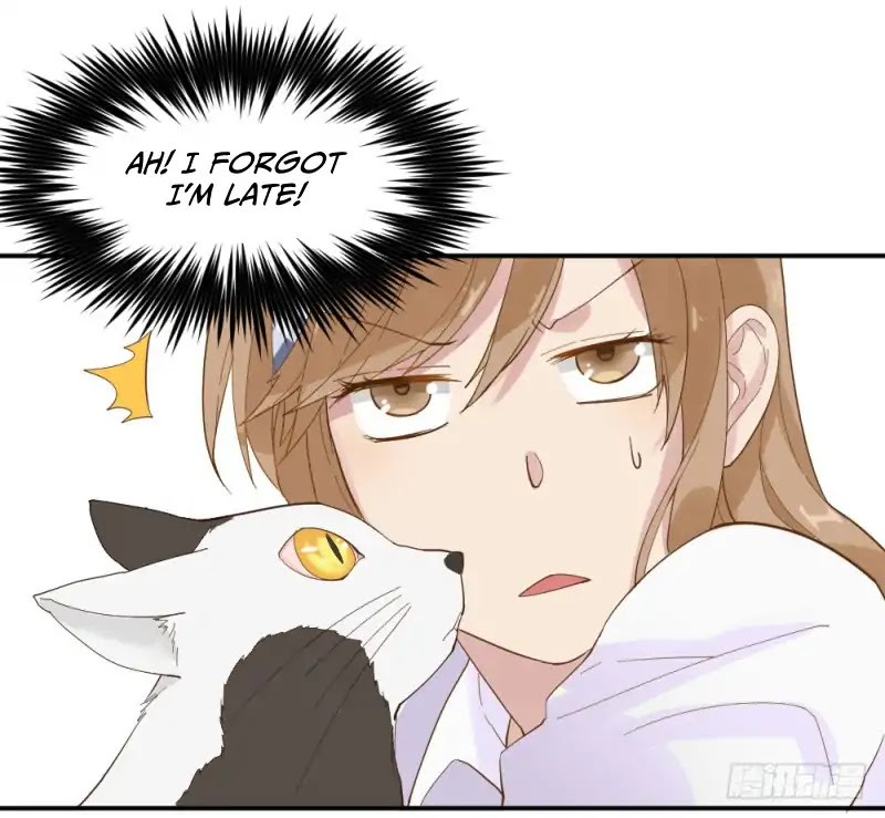 The Matchmaker Forbids Me From Dating Chapter 1 page 77 - Chapter 1