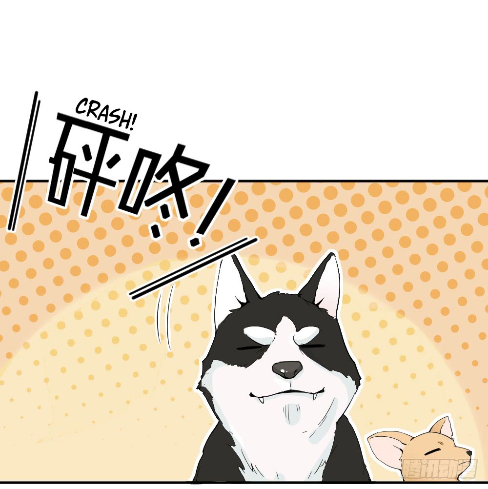 The Matchmaker Forbids Me From Dating Chapter 14 page 28 - Chapter 14