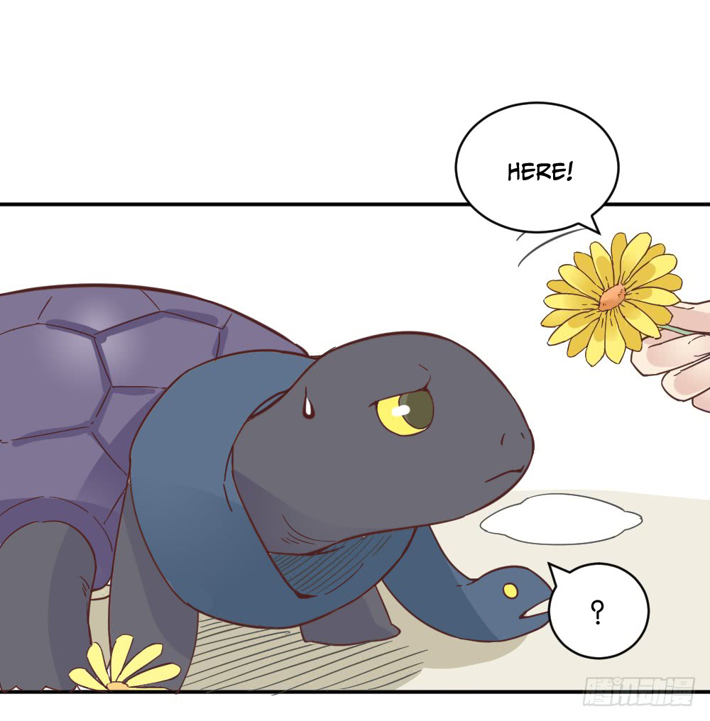 The Matchmaker Forbids Me From Dating Chapter 18 page 34 - Chapter 18