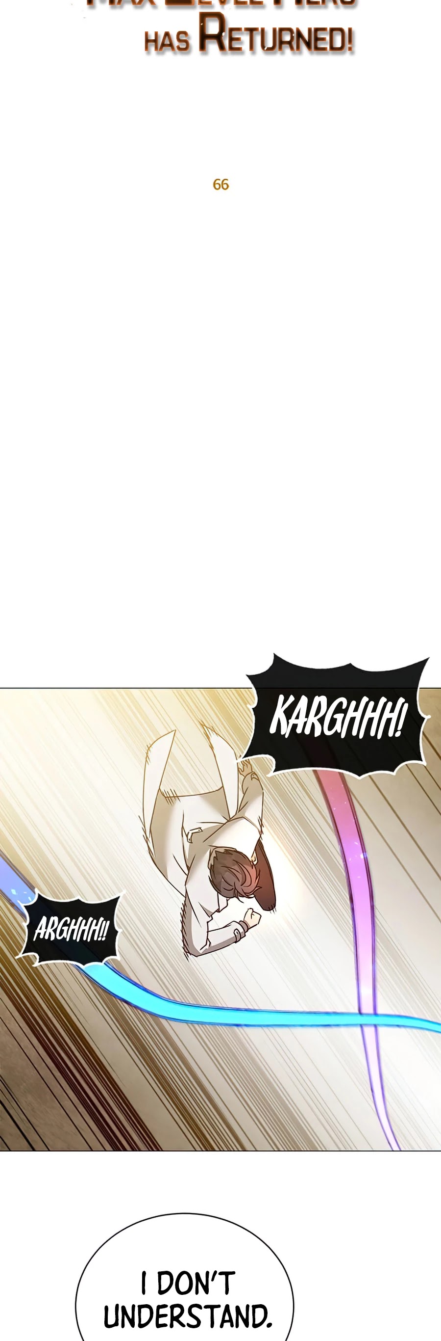 The Max Level Hero Has Returned! Chapter 66 page 16 - Chapter 66