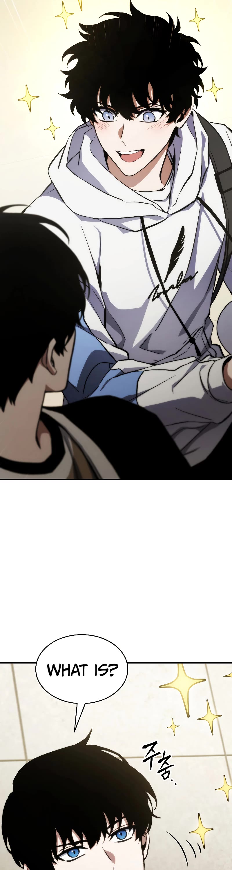 The Max-Level Player’s 100th Regression Chapter 10 page 14 - Chapter 10
