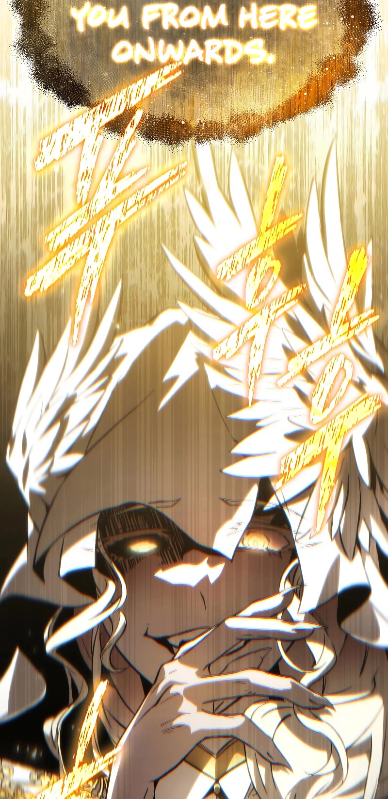 The Max-Level Player’s 100th Regression Chapter 10 page 81 - Chapter 10