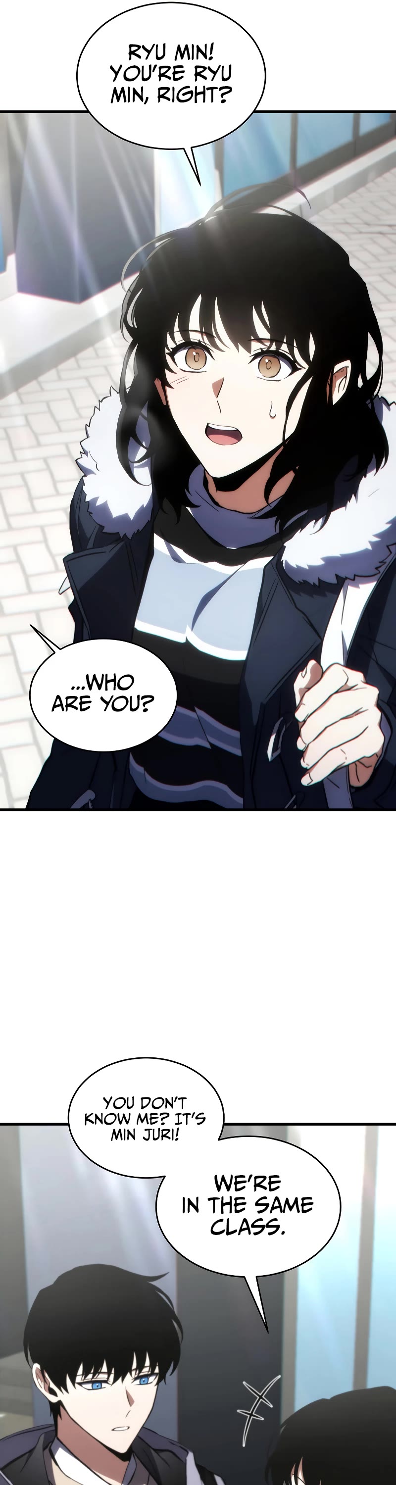 The Max-Level Player’s 100th Regression Chapter 19 page 17 - Chapter 19