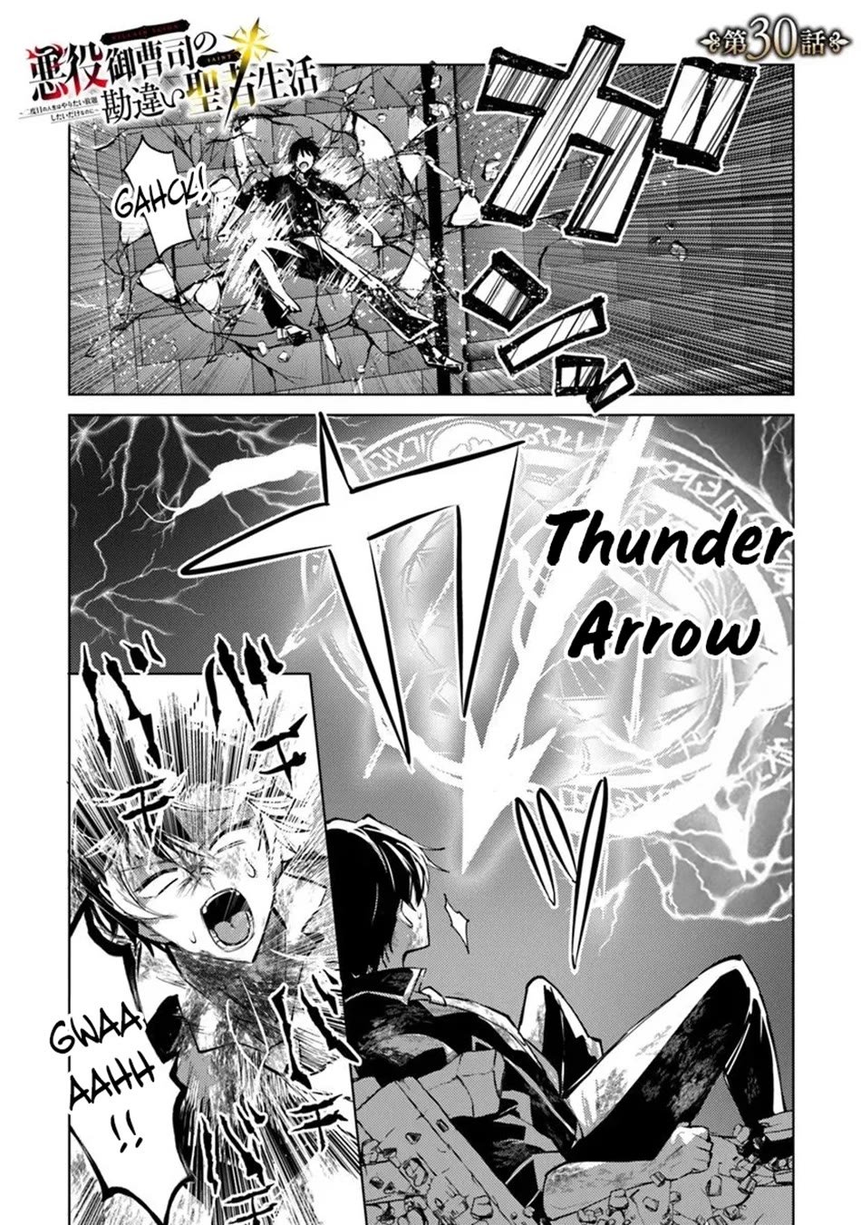 The Misunderstood Saintly Life of a Villainous Scion ~ I just want to do whatever I want in my second life~ Chapter 30 page 2 - Chapter 30