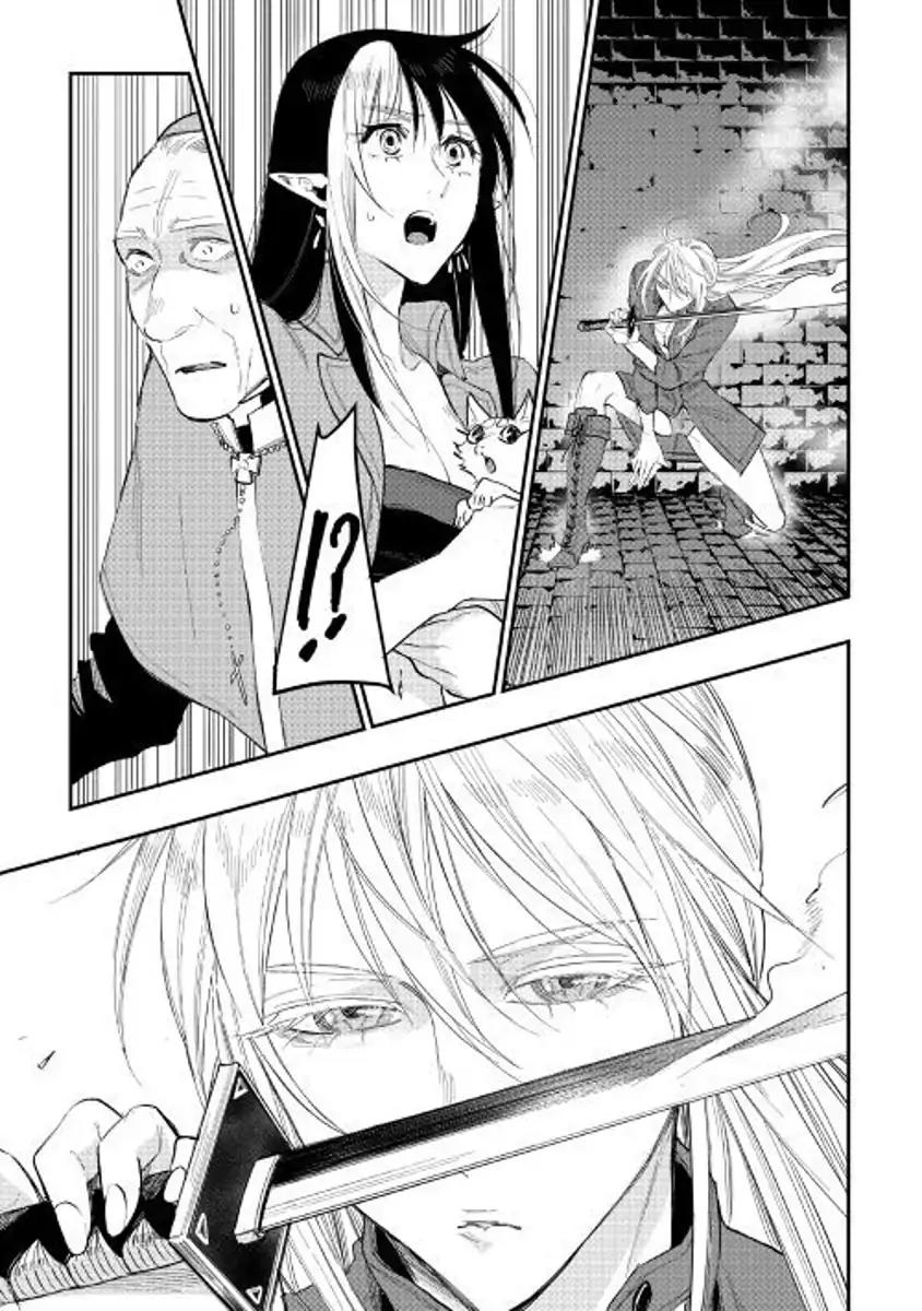 The New Gate Chapter 40 page 29 - Chapter 40