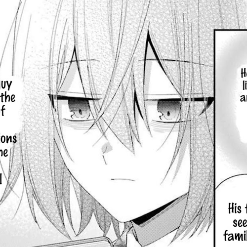 The Noble Girl With a Crush on a Plain and Studious Guy Finds the Arrogant Prince to Be a Nuisance Chapter 12.5: Volume 3 Extra cover