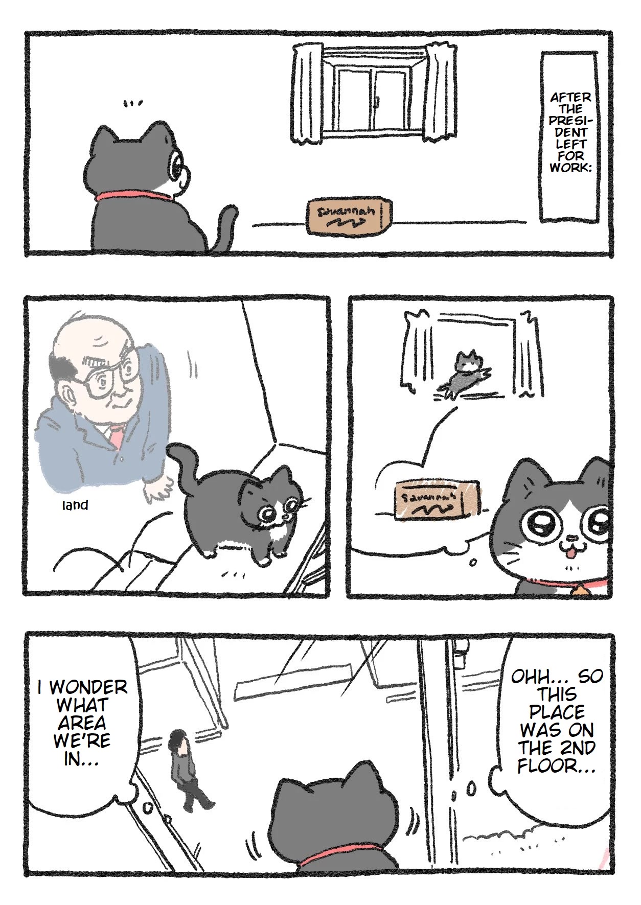 The Old Man Who Was Reincarnated As A Cat Chapter 109 page 1 - Chapter 109