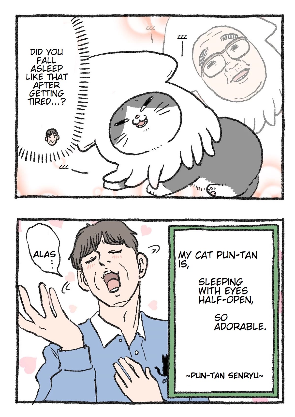 The Old Man Who Was Reincarnated As A Cat Chapter 113 page 2 - Chapter 113