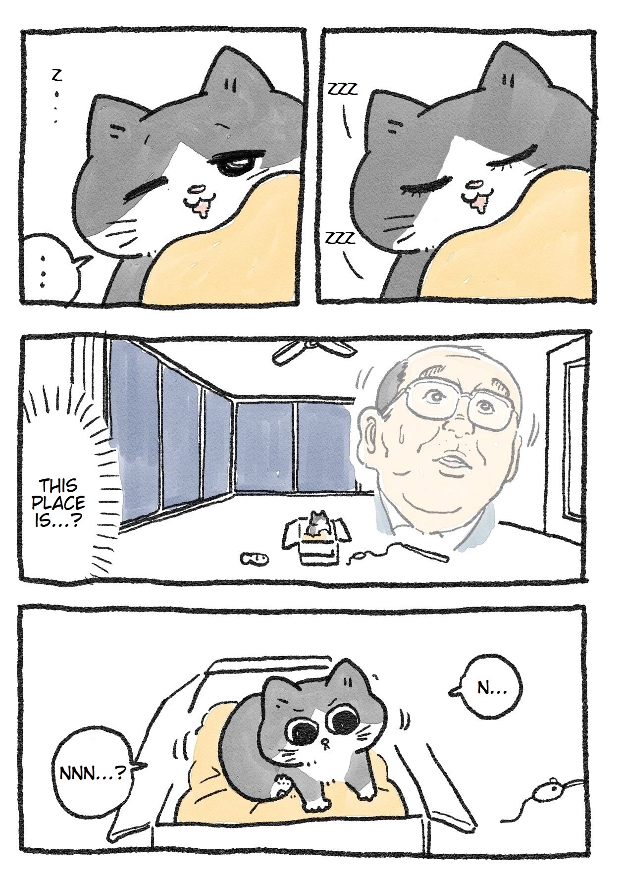 The Old Man Who Was Reincarnated As A Cat Chapter 12 page 1 - Chapter 12